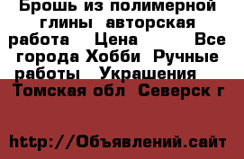 Брошь из полимерной глины, авторская работа. › Цена ­ 900 - Все города Хобби. Ручные работы » Украшения   . Томская обл.,Северск г.